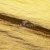 Текстильный материал "Диско"#1805 с покрытием РЕТ, 40гр/м2, 100% полиэстер, цв.5-золото - купить в Азове. Цена 412.36 руб.