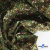 Ткань костюмная «Микровельвет велюровый принт», 220 г/м2, 97% полиэстр, 3% спандекс, ш. 150См Цв  #9 - купить в Азове. Цена 439.76 руб.