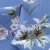 Плательная ткань "Фламенко" 12.1, 80 гр/м2, шир.150 см, принт растительный - купить в Азове. Цена 241.49 руб.
