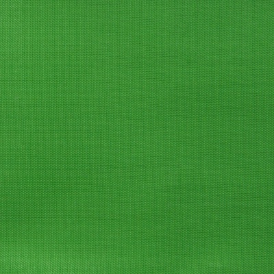 Ткань подкладочная Таффета 17-6153, 48 гр/м2, шир.150см, цвет трава - купить в Азове. Цена 54.64 руб.