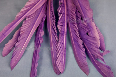 Декоративный Пучок из перьев, перо 25см/фиолетовый - купить в Азове. Цена: 12.19 руб.
