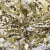 Трикотажное полотно, Сетка с пайетками, шир.130 см, #315, цв.-белый/золото - купить в Азове. Цена 693.39 руб.