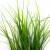 Трава искусственная -3, шт (осока 50 см/8 см  5 листов)				 - купить в Азове. Цена: 124.17 руб.