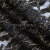 Кружевное полотно XD LACE 1-4, 80 гр/м2, шир.150см, цвет чёрный - купить в Азове. Цена 245.94 руб.